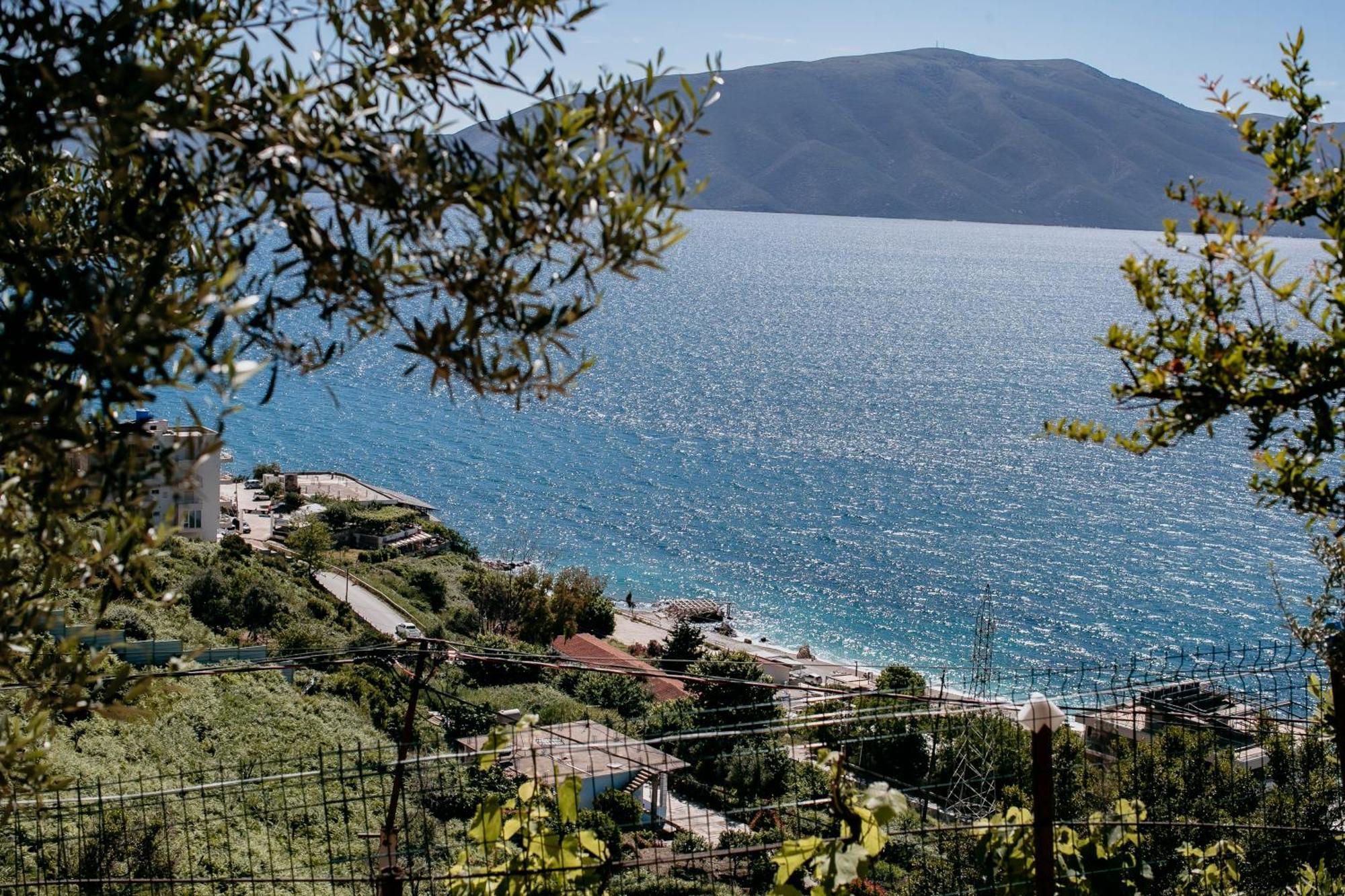 Villa Del Mar Kanine Eksteriør bilde