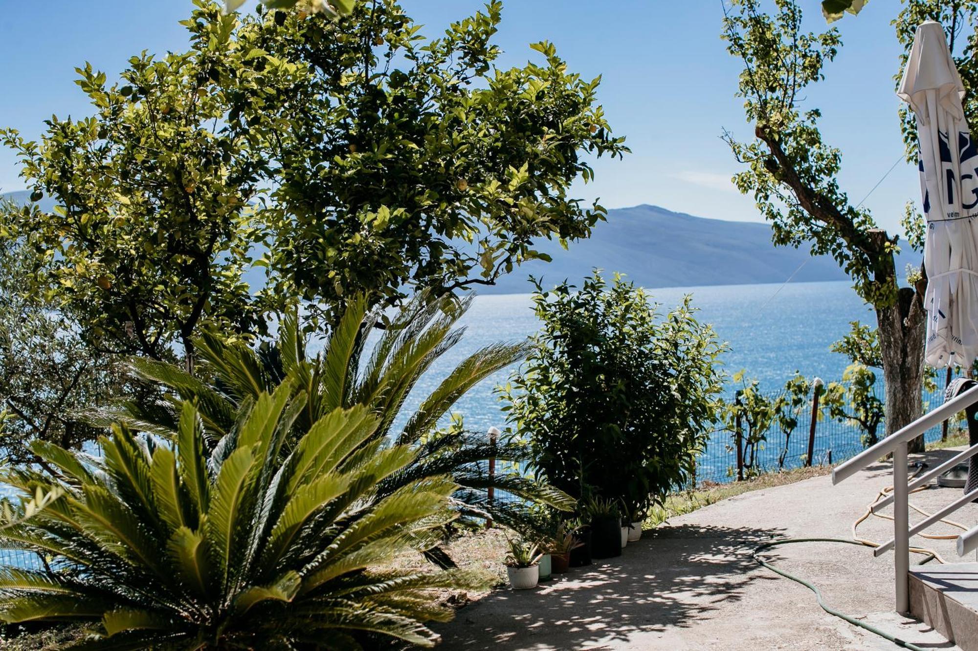 Villa Del Mar Kanine Eksteriør bilde