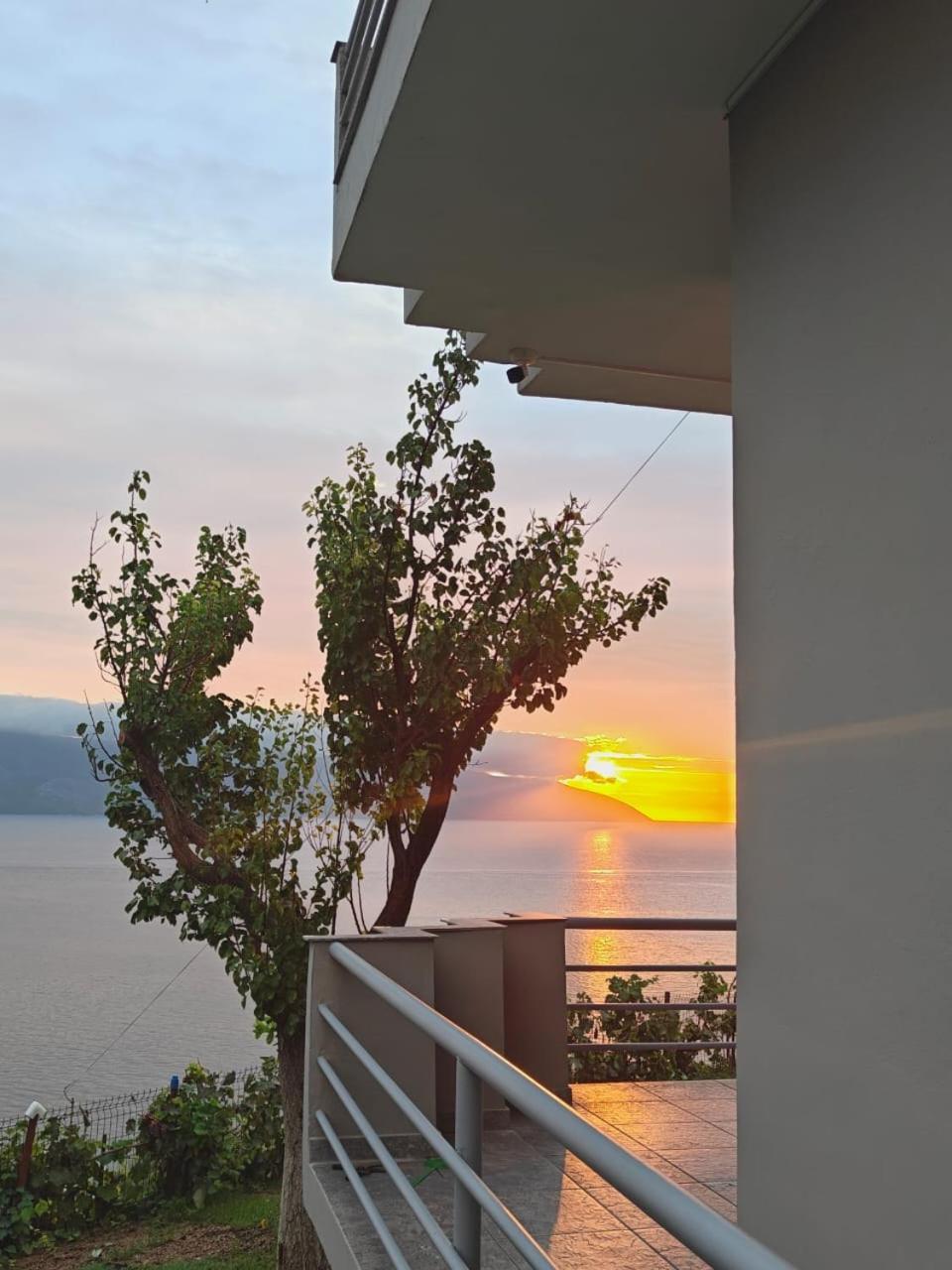 Villa Del Mar Kanine Eksteriør bilde